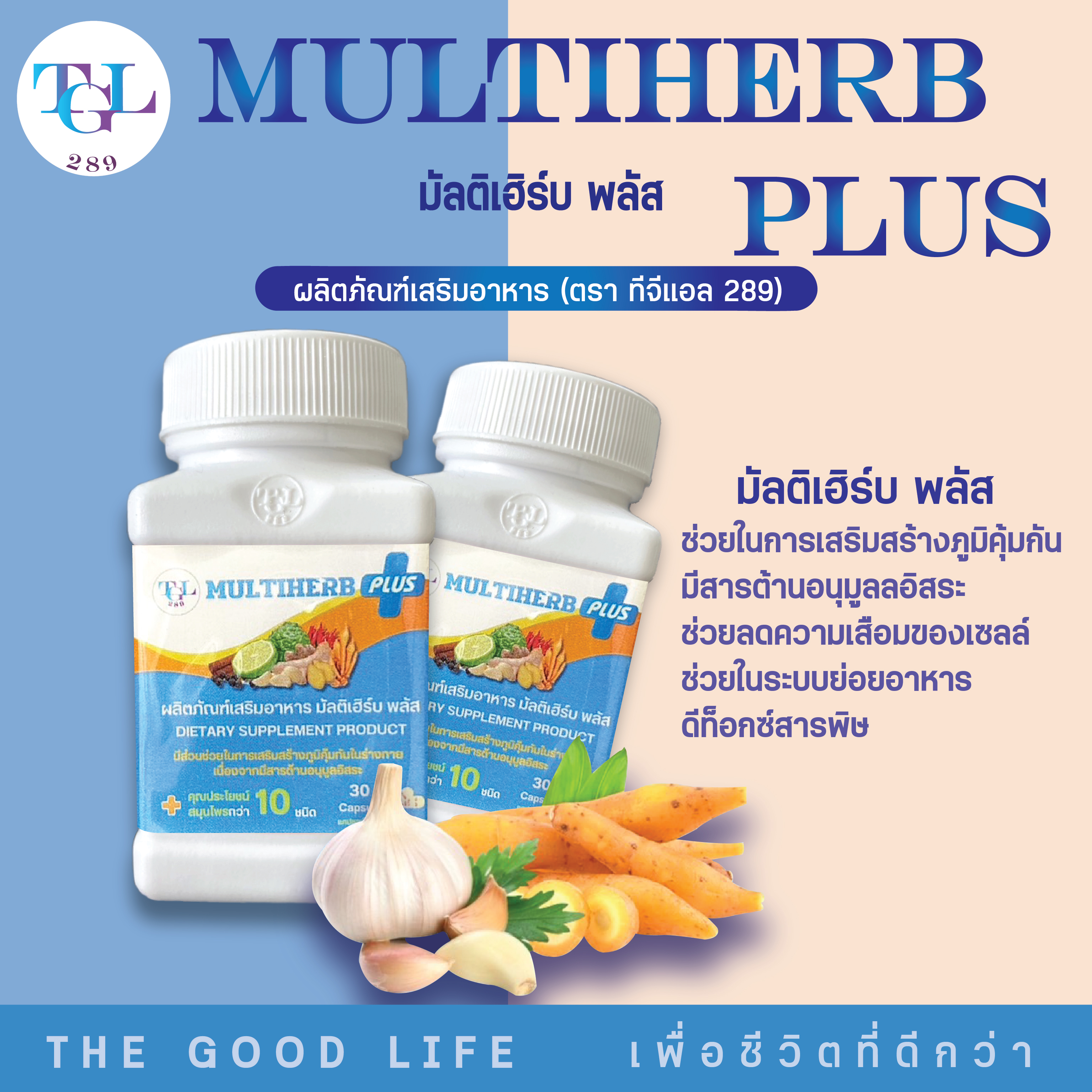 หน้าแรก | TGL289