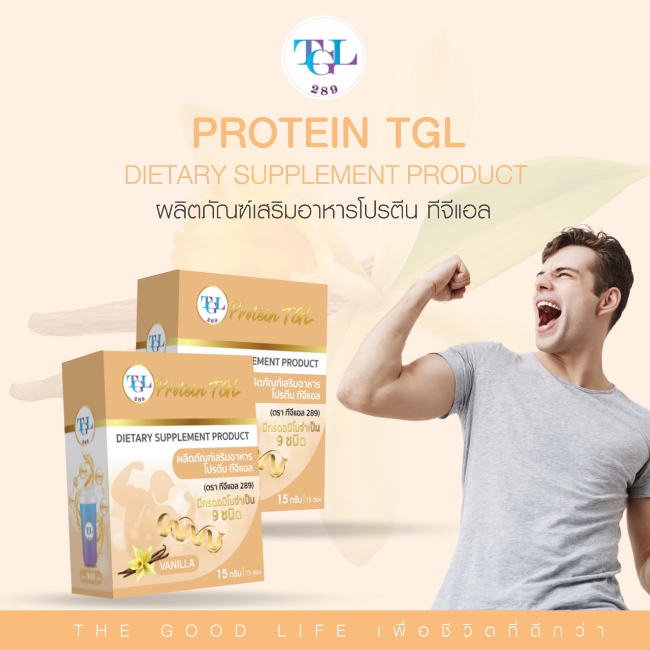 หน้าแรก | TGL289